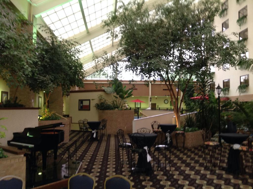 Hotel Wyndham Garden Amarillo Extérieur photo