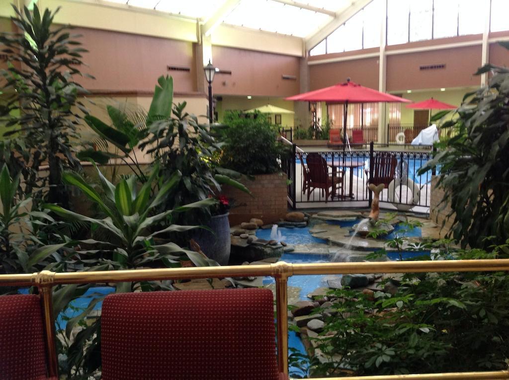 Hotel Wyndham Garden Amarillo Extérieur photo