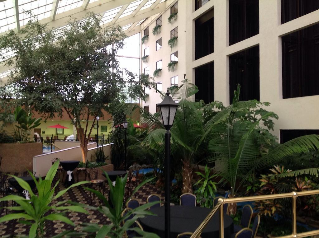 Hotel Wyndham Garden Amarillo Extérieur photo